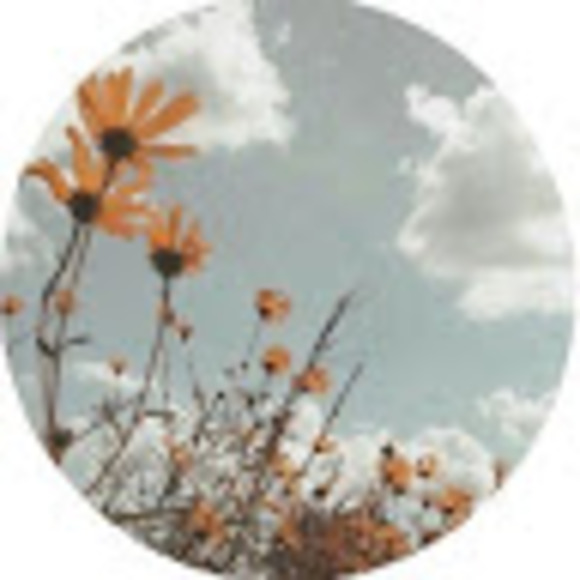 Meet your Posher, Trinity - Picture 1 of 1